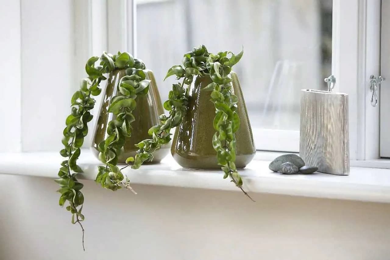 Jakie kwiaty na kwietnik w domu - wybierz rośliny łatwe w pielęgnacji