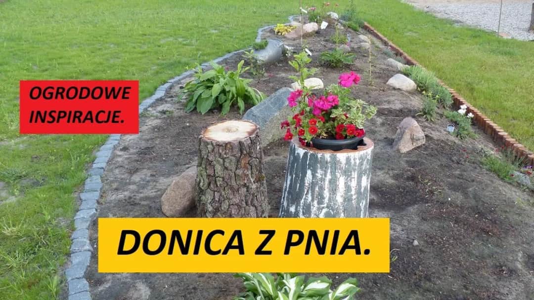 Jak zrobić kwietnik z pnia drzewa i cieszyć się pięknem w ogrodzie