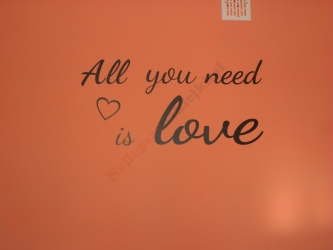 All you need is love ? wz-12