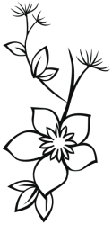Naklejka ścienna - kwiatek KW-NA-05